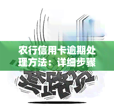 农行信用卡逾期处理方法：详细步骤与建议