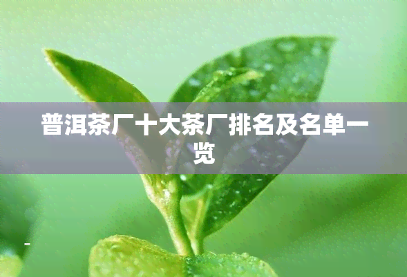 普洱茶厂十大茶厂排名及名单一览