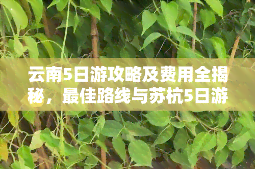 云南5日游攻略及费用全揭秘，更佳路线与苏杭5日游自由行攻略一网打尽！