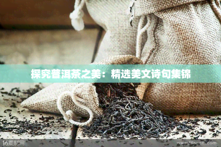 探究普洱茶之美：精选美文诗句集锦