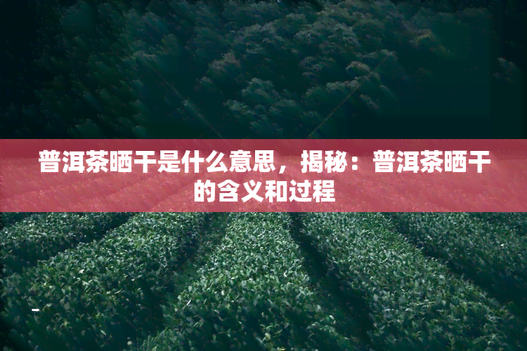 普洱茶晒干是什么意思，揭秘：普洱茶晒干的含义和过程