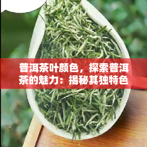 普洱茶叶颜色，探索普洱茶的魅力：揭秘其独特色泽的奥秘