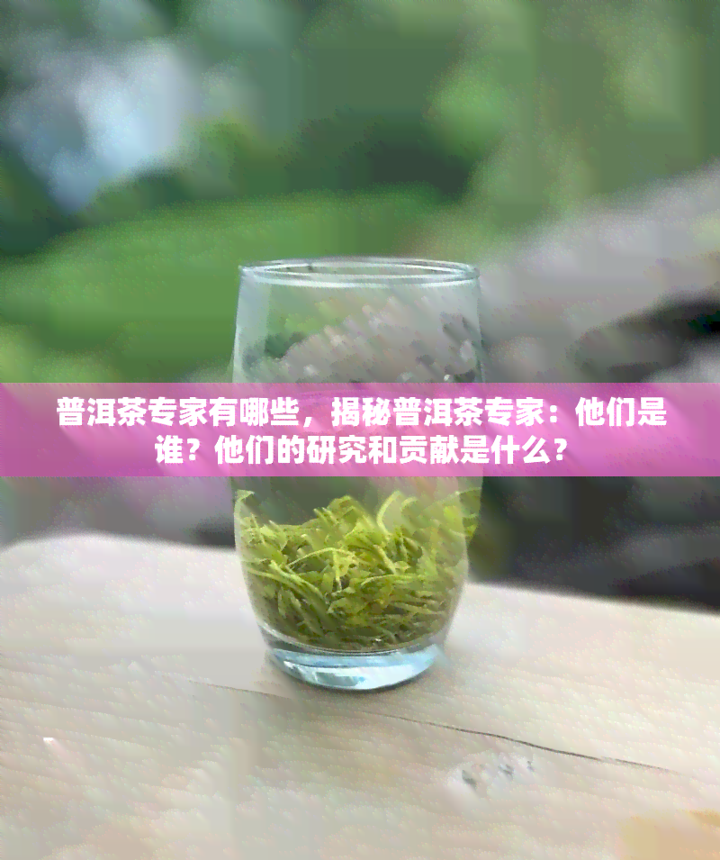 普洱茶专家有哪些，揭秘普洱茶专家：他们是谁？他们的研究和贡献是什么？