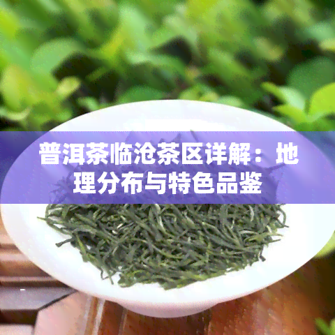 普洱茶临沧茶区详解：地理分布与特色品鉴