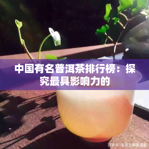 中国有名普洱茶排行榜：探究更具影响力的