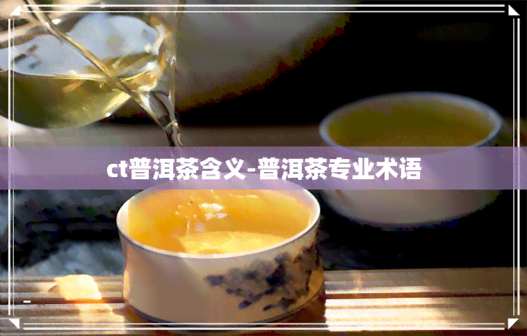 ct普洱茶含义-普洱茶专业术语