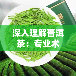 深入理解普洱茶：专业术语与层次感解析