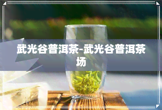 武光谷普洱茶-武光谷普洱茶场