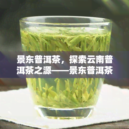 景东普洱茶，探索云南普洱茶之源——景东普洱茶的魅力与故事