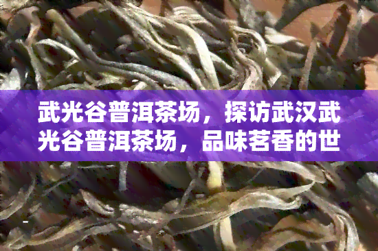 武光谷普洱茶场，探访武汉武光谷普洱茶场，品味茗香的世界