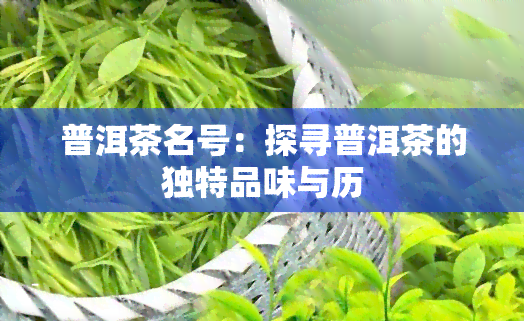 普洱茶名号：探寻普洱茶的独特品味与历