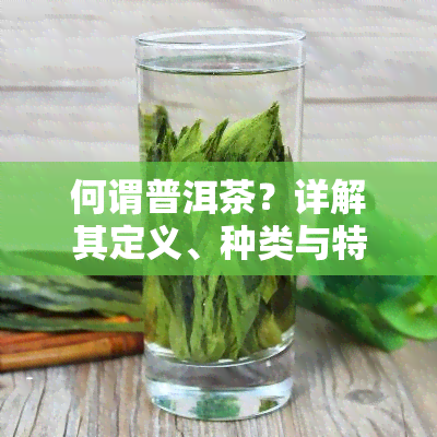 何谓普洱茶？详解其定义、种类与特点