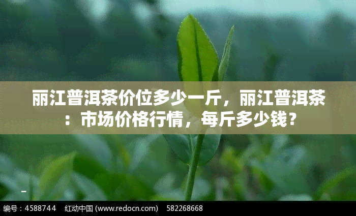 丽江普洱茶价位多少一斤，丽江普洱茶：市场价格行情，每斤多少钱？