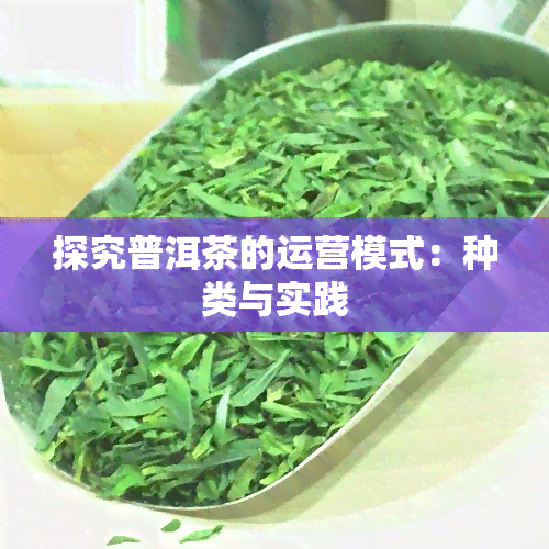 探究普洱茶的运营模式：种类与实践