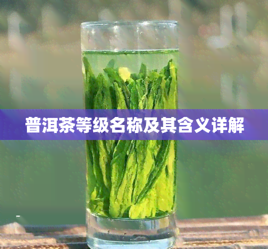 普洱茶等级名称及其含义详解