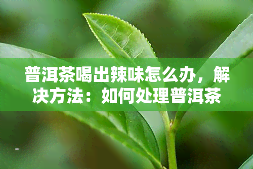 普洱茶喝出辣味怎么办，解决方法：如何处理普洱茶中的辣味？