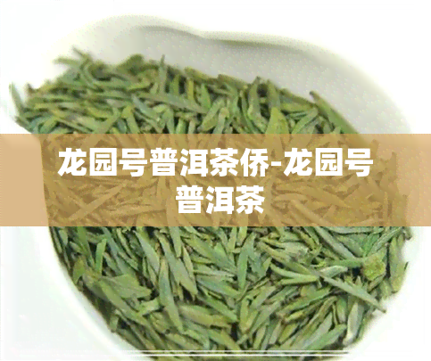 龙园号普洱茶侨-龙园号 普洱茶