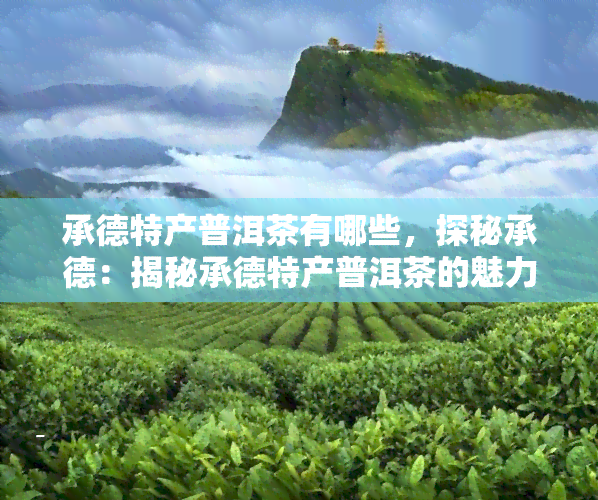 承德特产普洱茶有哪些，探秘承德：揭秘承德特产普洱茶的魅力