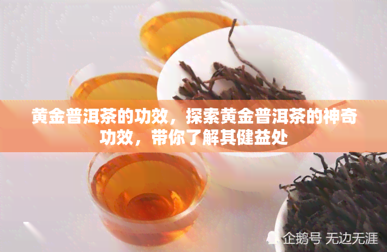 黄金普洱茶的功效，探索黄金普洱茶的神奇功效，带你了解其健益处