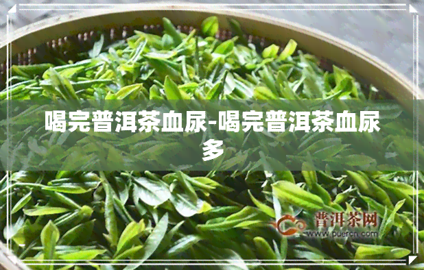 喝完普洱茶血尿-喝完普洱茶血尿多