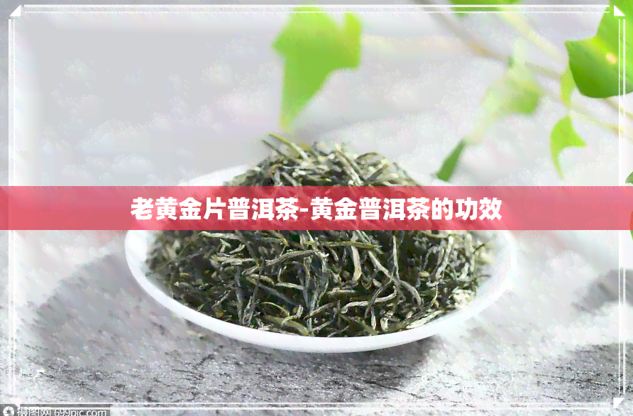 老黄金片普洱茶-黄金普洱茶的功效