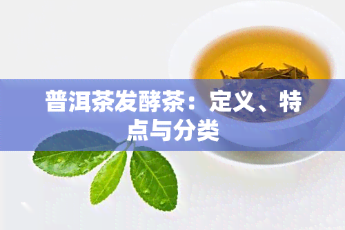 普洱茶发酵茶：定义、特点与分类