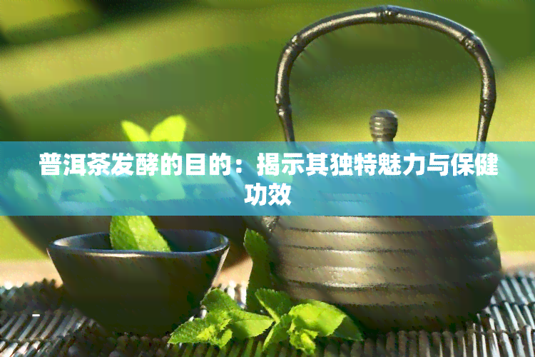 普洱茶发酵的目的：揭示其独特魅力与保健功效