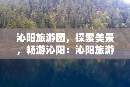 沁阳旅游团，探索美景，畅游沁阳：沁阳旅游团全攻略