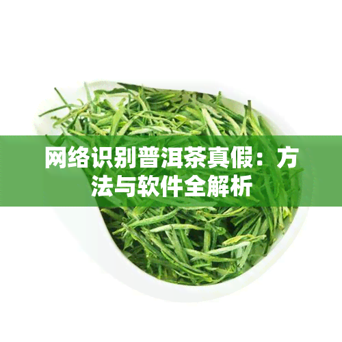 网络识别普洱茶真假：方法与软件全解析