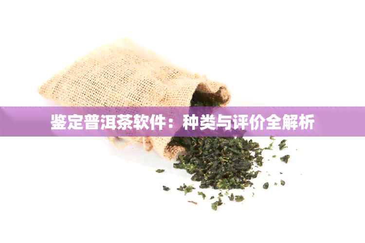 鉴定普洱茶软件：种类与评价全解析