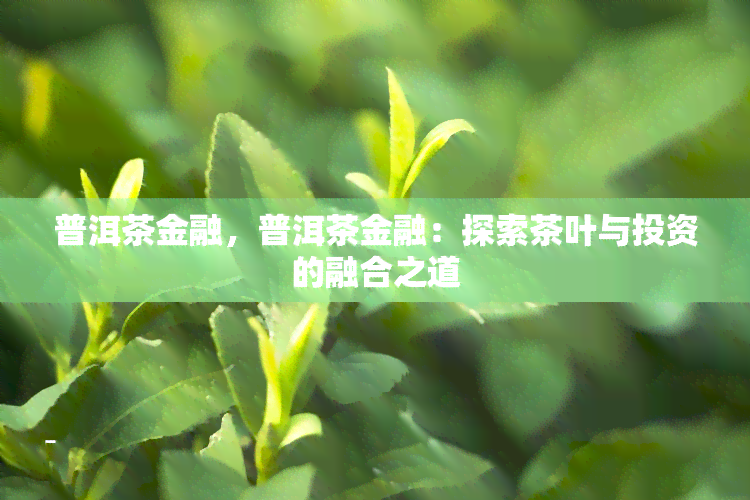 普洱茶金融，普洱茶金融：探索茶叶与投资的融合之道