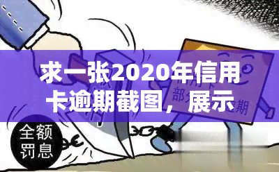 求一张2020年信用卡逾期截图，展示欠款情况