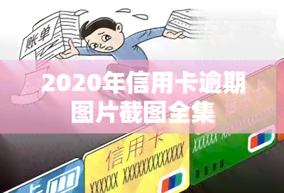 2020年信用卡逾期图片截图全集