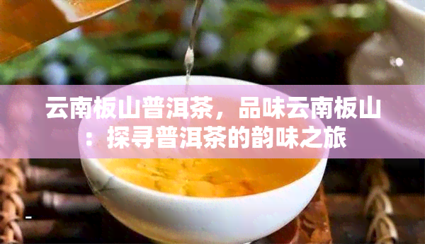 云南板山普洱茶，品味云南板山：探寻普洱茶的韵味之旅