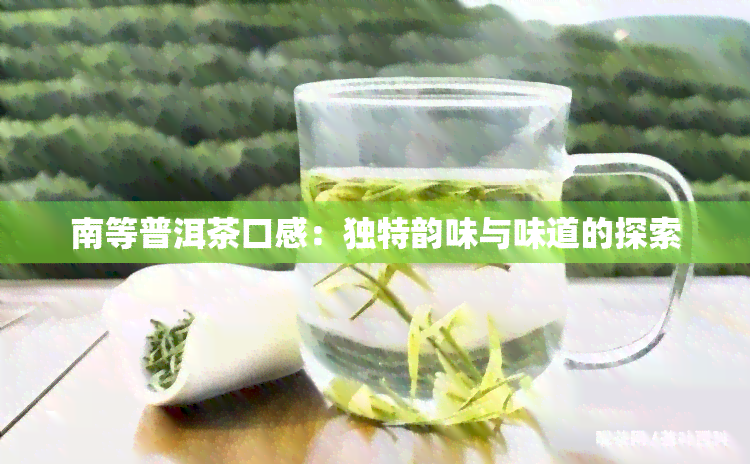 南等普洱茶口感：独特韵味与味道的探索