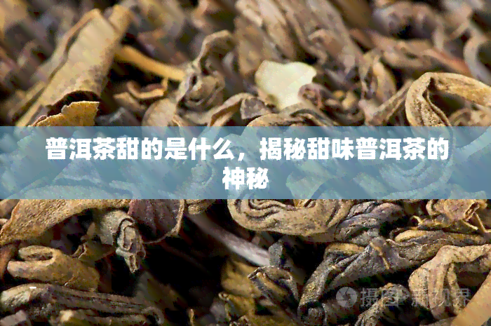 普洱茶甜的是什么，揭秘甜味普洱茶的神秘