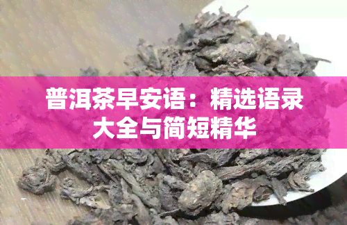 普洱茶早安语：精选语录大全与简短精华