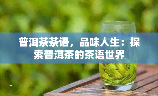 普洱茶茶语，品味人生：探索普洱茶的茶语世界