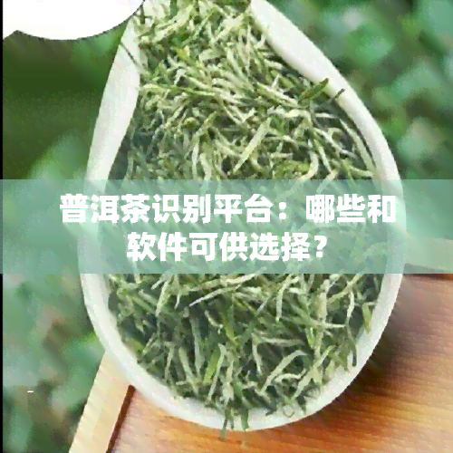 普洱茶识别平台：哪些和软件可供选择？