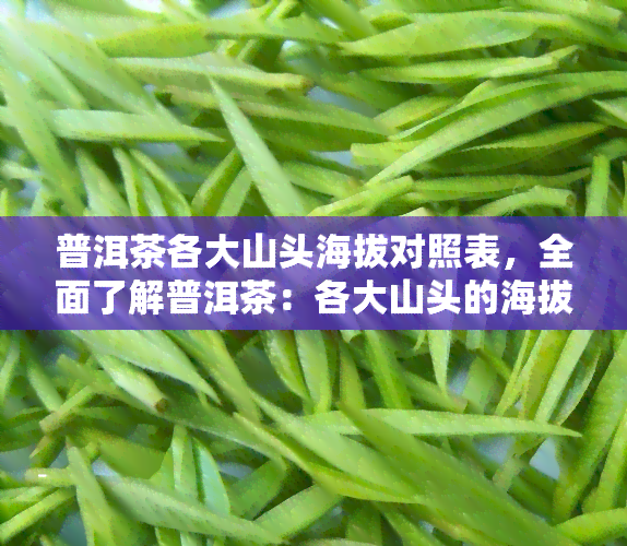 普洱茶各大山头海拔对照表，全面了解普洱茶：各大山头的海拔对照表