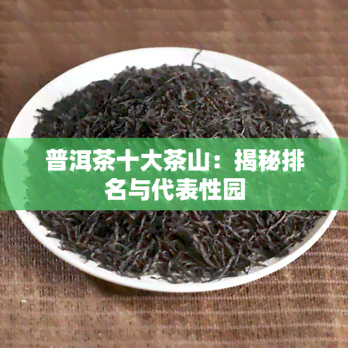 普洱茶十大茶山：揭秘排名与代表性园