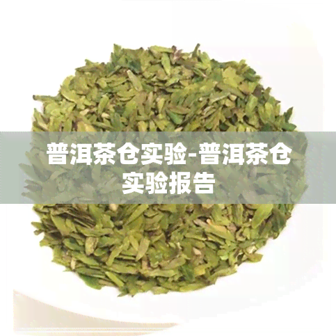 普洱茶仓实验-普洱茶仓实验报告