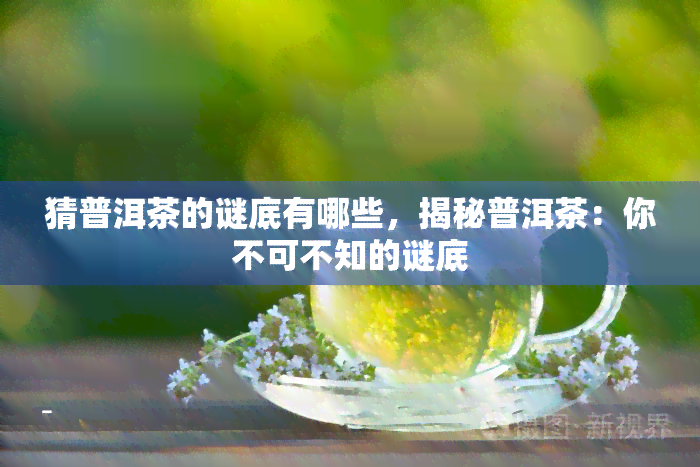 猜普洱茶的谜底有哪些，揭秘普洱茶：你不可不知的谜底