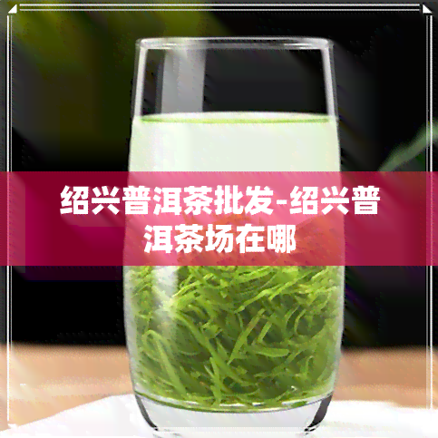 绍兴普洱茶批发-绍兴普洱茶场在哪