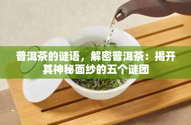 普洱茶的谜语，解密普洱茶：揭开其神秘面纱的五个谜团