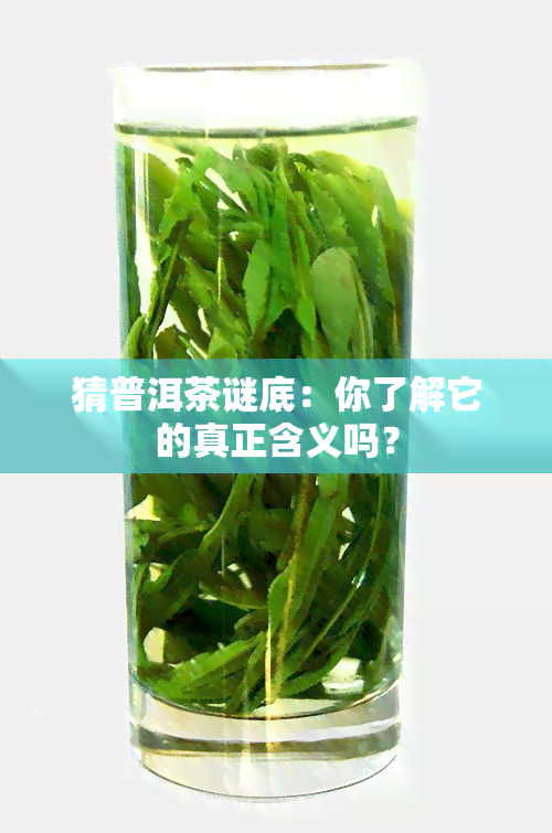 猜普洱茶谜底：你了解它的真正含义吗？