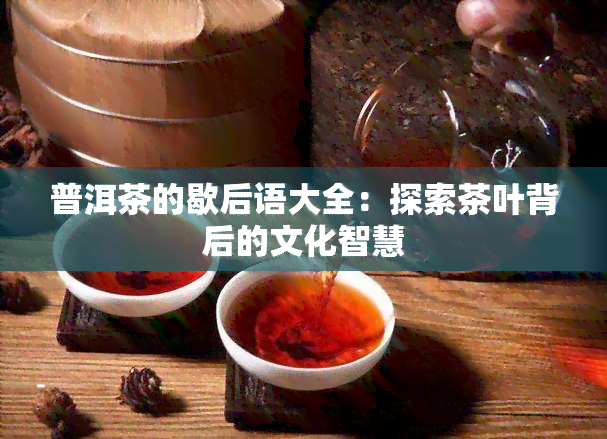 普洱茶的歇后语大全：探索茶叶背后的文化智慧