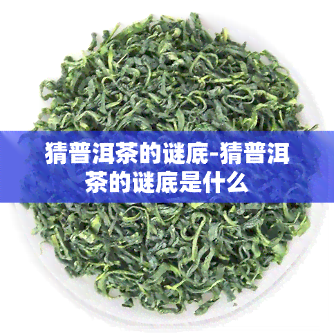 猜普洱茶的谜底-猜普洱茶的谜底是什么