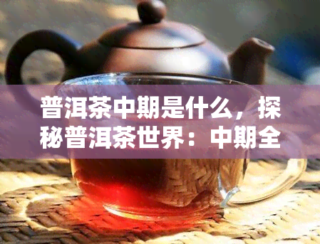 普洱茶中期是什么，探秘普洱茶世界：中期全解析