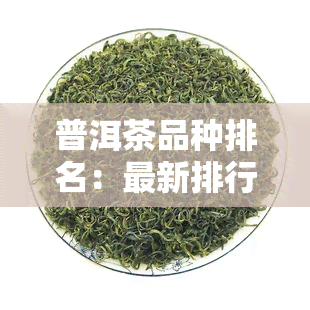 普洱茶品种排名：最新排行榜与详细解析